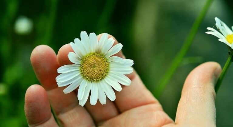7 Maneiras de ter mais força interior