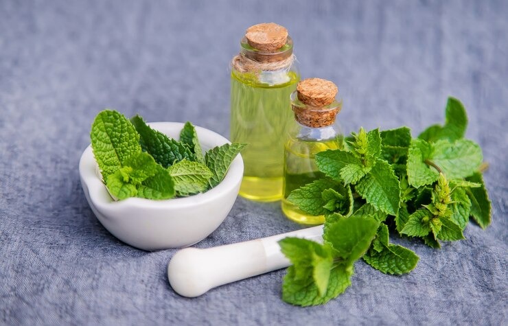 Remédios naturais fáceis com hortelã