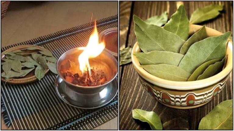 Como queimar folhas de louro em casa