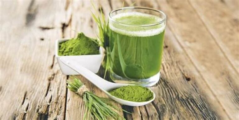 Como aumentar o consumo de clorofila