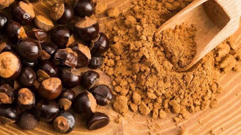 Benefícios do Guaraná em Pó