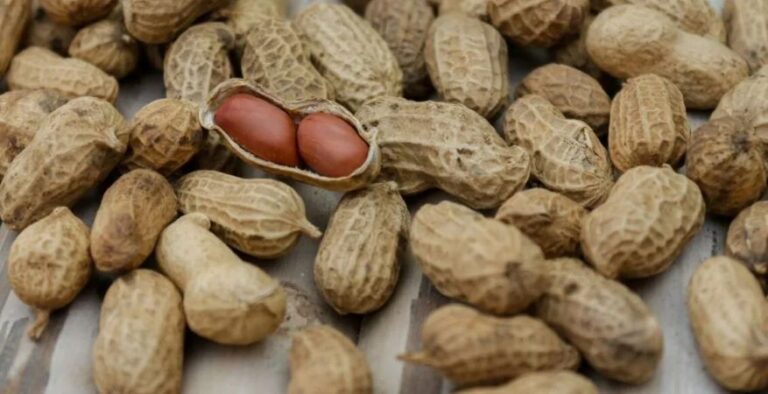 Reutilizando as Cascas de Amendoim