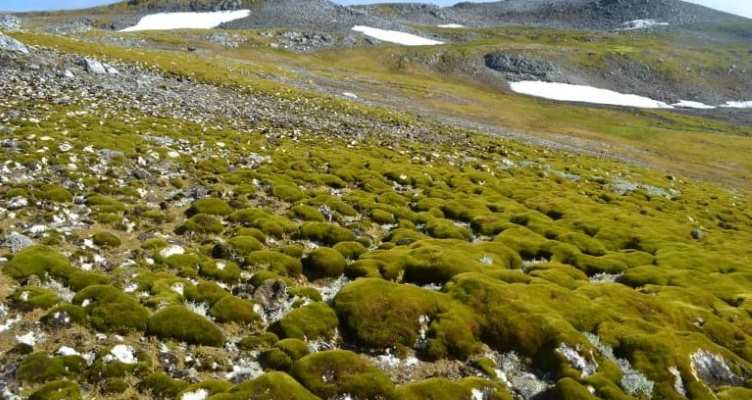 Esta imagem fala sobre Impacto das Alterações Climáticas que o artigo fornece uma visão abrangente dos efeitos das mudanças climáticas