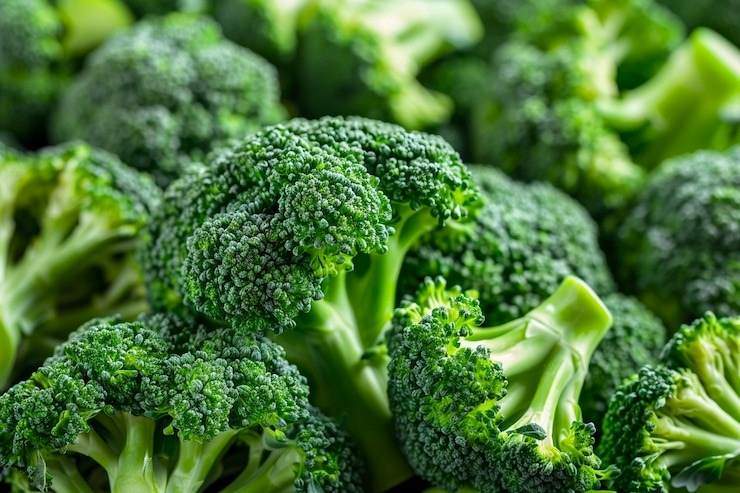 O Superalimento Barato que Protege Contra o Câncer