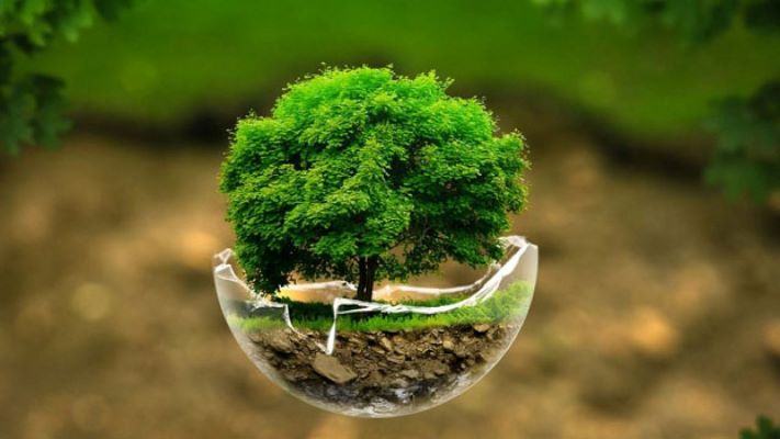 inclusão de tecnologias inovadoras como a Inteligência Artificial (IA) em processos de preservação e monitoramento ambiental