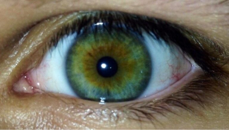 A Ilusão do Presente: Como Nosso Cérebro Constrói a Realidade com um "Atraso". Este post é apenas uma introdução a um tema vasto e empolgante