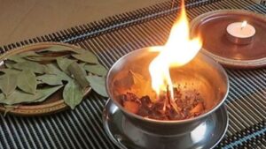 Folha de Louro: Queime e Transforme sua Casa. Descubra os benefícios surpreendentes de queimar folha de louro em casa