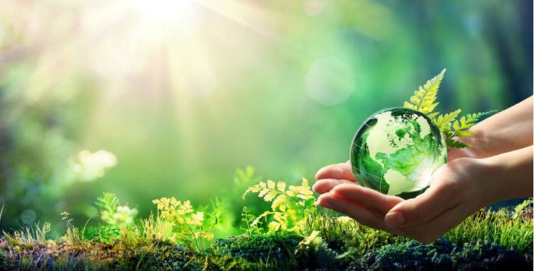 Esta imagem trata sobre os cuidados com o meio ambiente